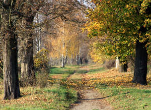 Excursion destination Karower Ponds