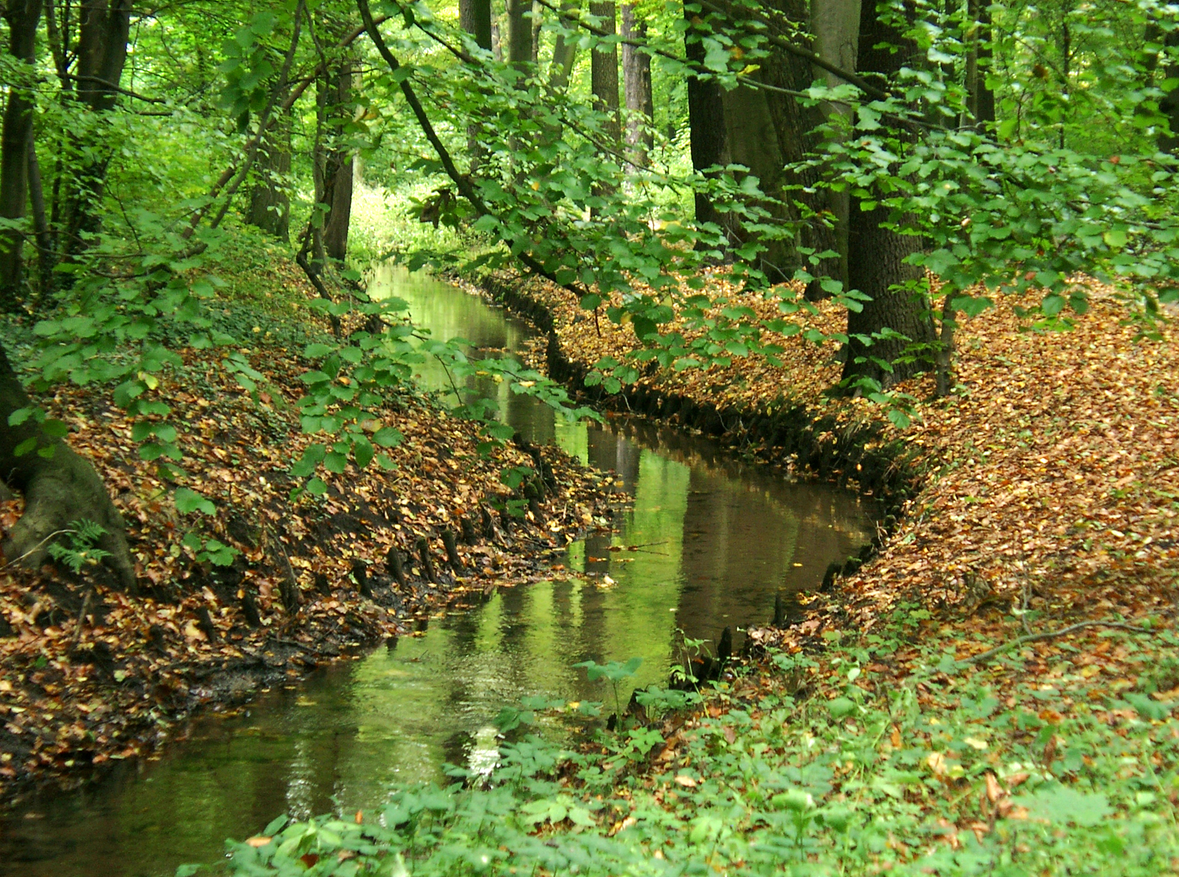 Barnim Nature Park and important research institutions in Berlin-Buch